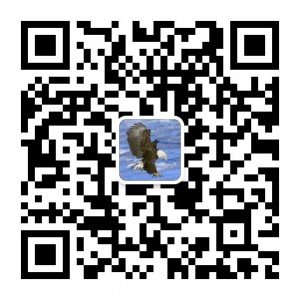 113426upb9068t9u6t66pu