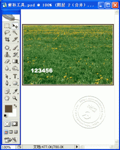 7db399f9jw1eg5hw6ewt7g20aw0dkacx