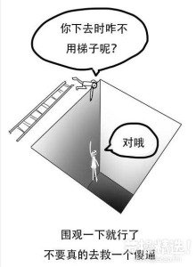 c11b91eb1895661f7f831dea9c0c569d_432_588