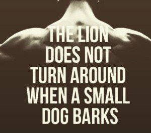 e63eb6ea-9802-4cb5-b36c-b2203d9787e9-medium