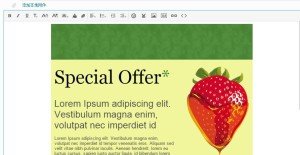 html10