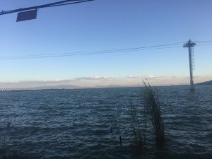 IMG_1690