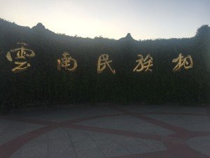 IMG_1692