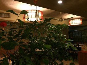 IMG_1948