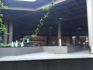 IMG_2114