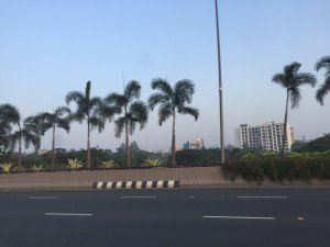 IMG_2117
