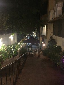 IMG_2289