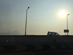 IMG_2342