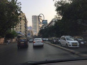 IMG_2348