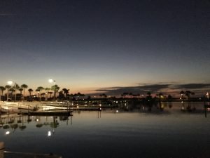 IMG_0522