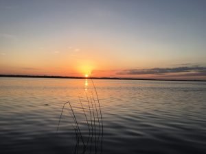 IMG_0536