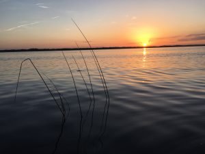 IMG_0538