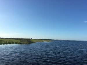 IMG_0548