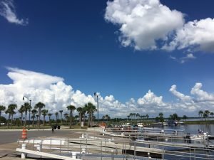 IMG_0604