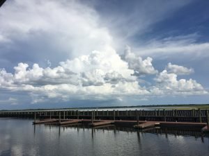 IMG_0610