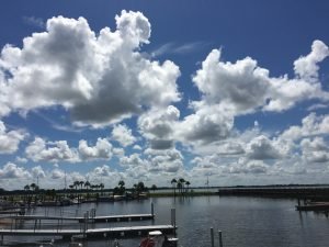 IMG_0648