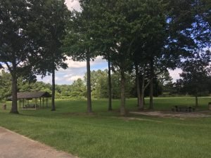 IMG_0705