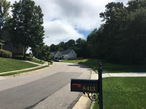 IMG_0711