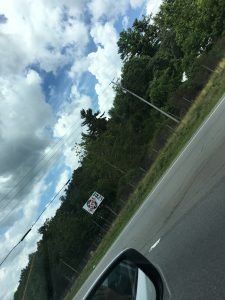 IMG_0733