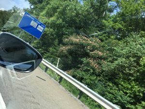 IMG_0740